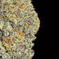 Fun Dipz Wholesale