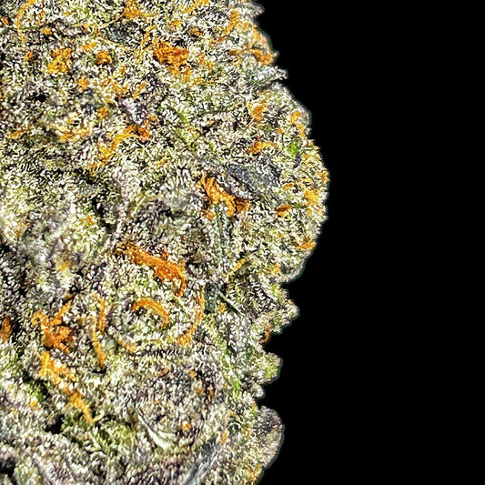 Fun Dipz Wholesale