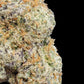 Tangie Land