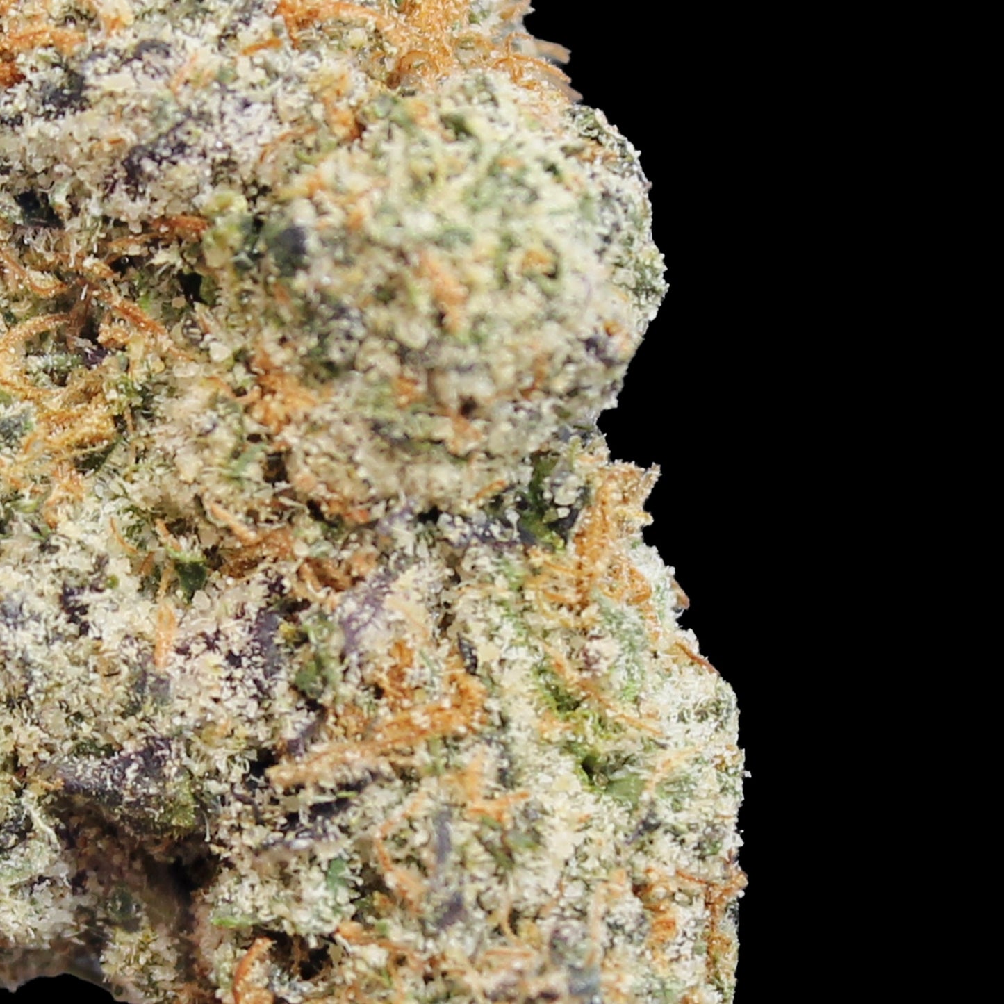 Tangie Land