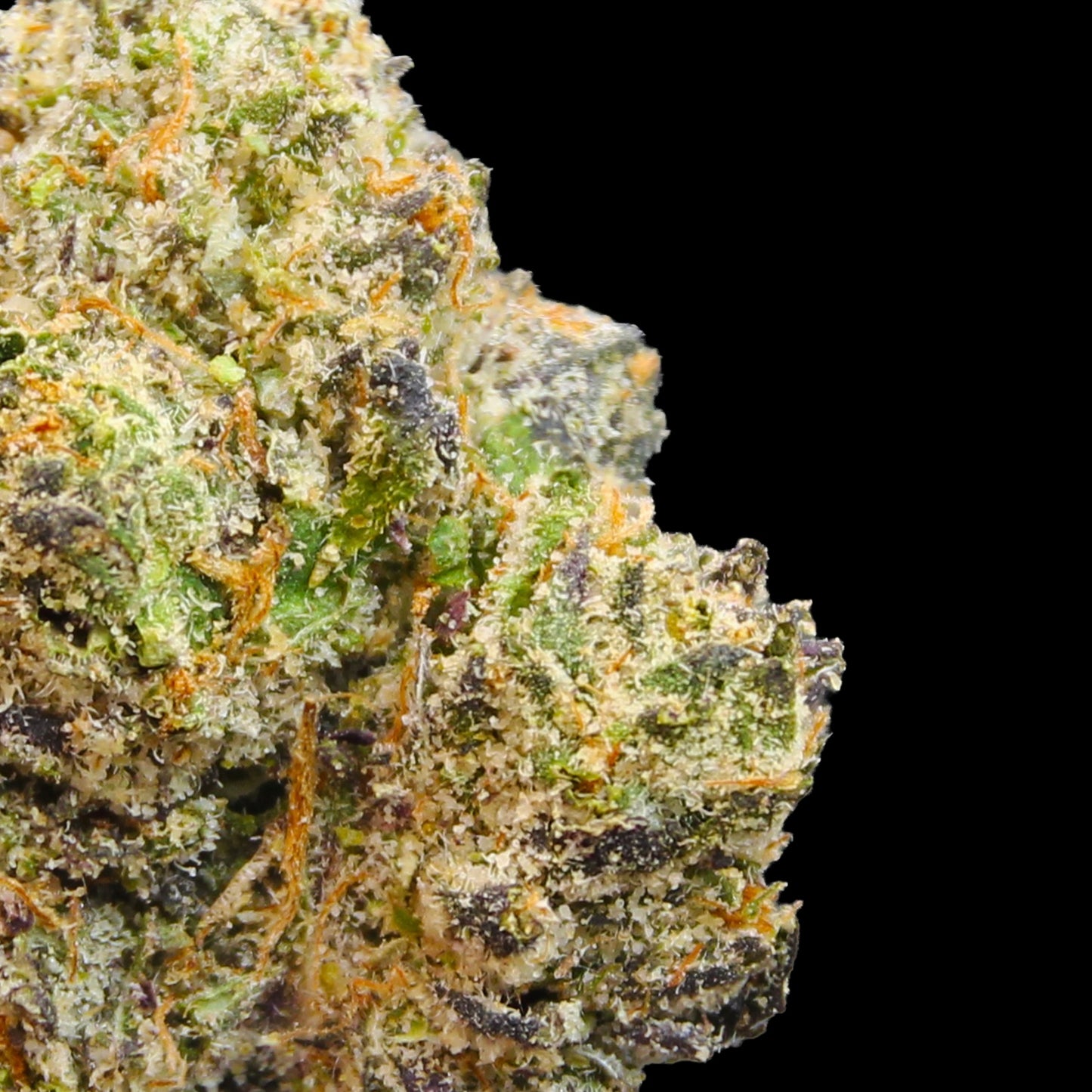 Grease Monkey