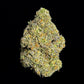 Noir Tsunami Wholesale