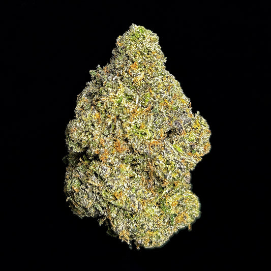 Noir Tsunami Wholesale