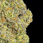 Noir Tsunami Wholesale
