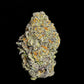 Fun Dipz Wholesale